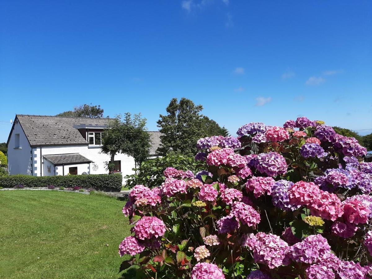 Trenewydd Farm Holiday Cottages Cardigan Exteriér fotografie