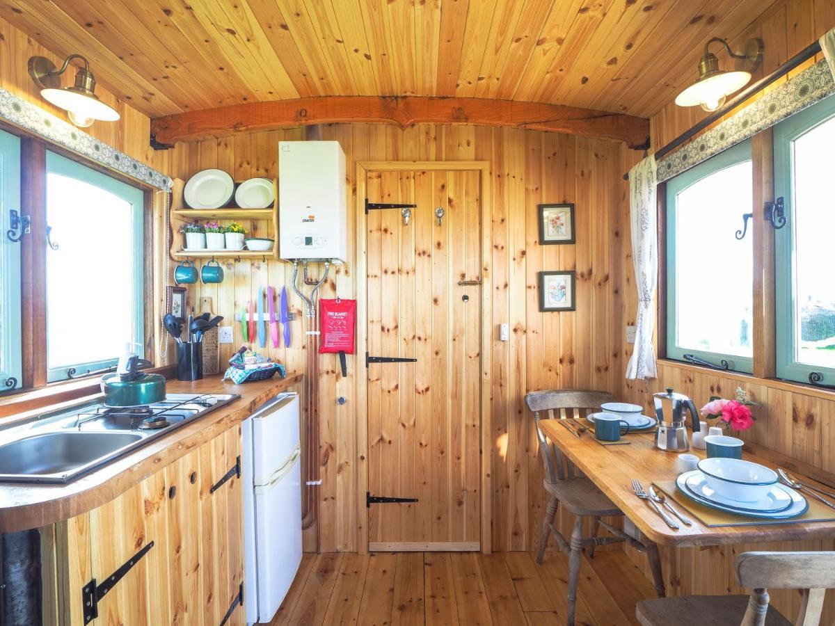 Trenewydd Farm Holiday Cottages Cardigan Exteriér fotografie