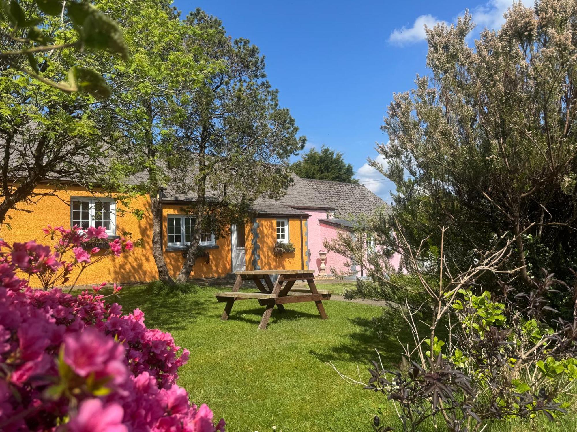 Trenewydd Farm Holiday Cottages Cardigan Exteriér fotografie